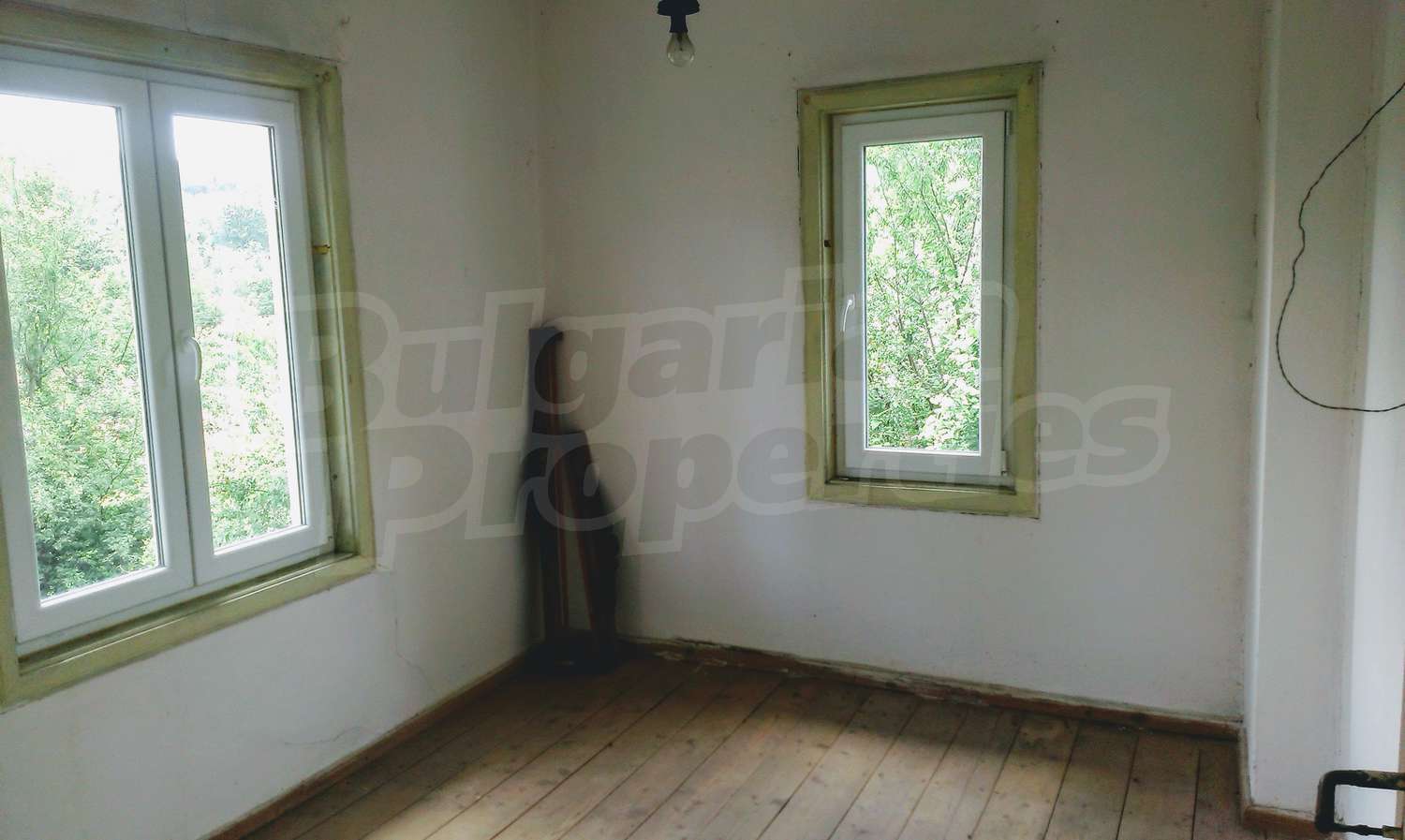 Gallery Picture 16