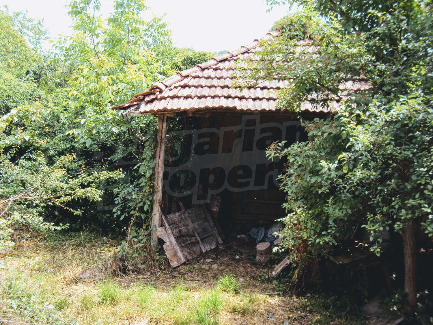 Gallery Picture 20