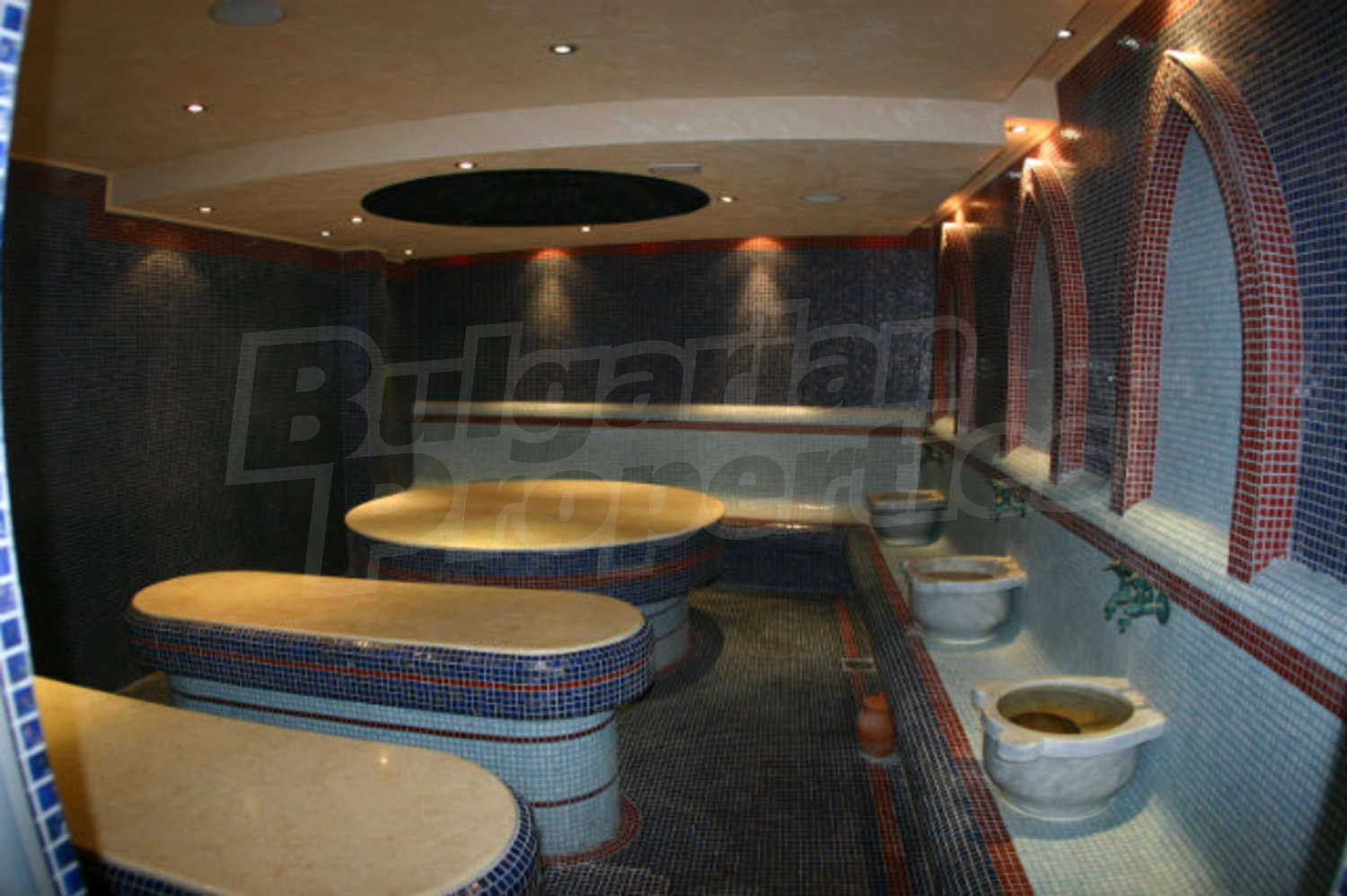 Gallery Picture 31