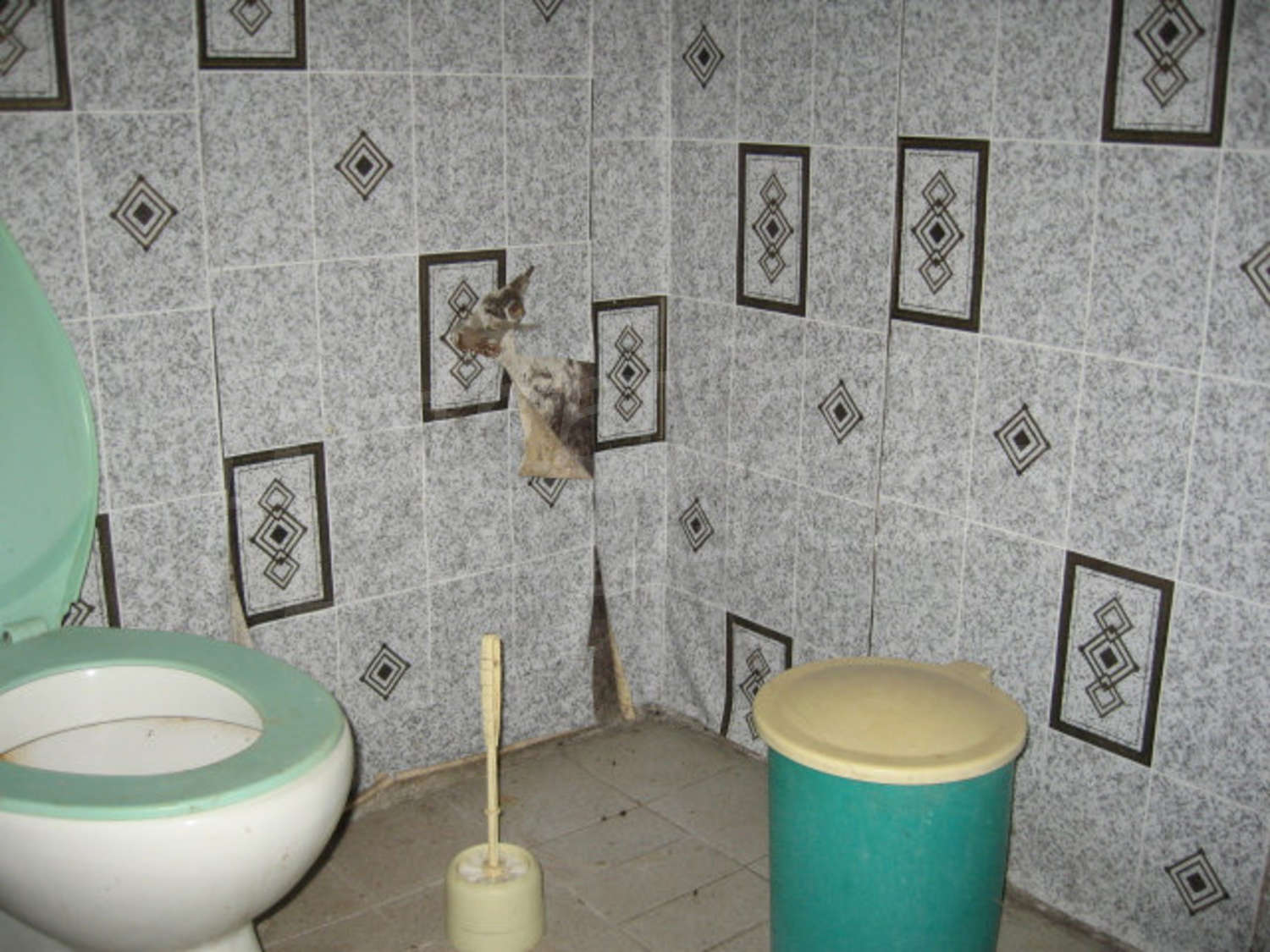 Gallery Picture 14