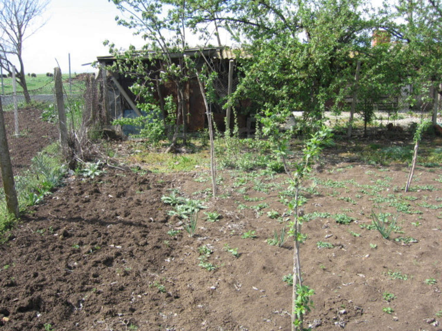 Gallery Picture 6