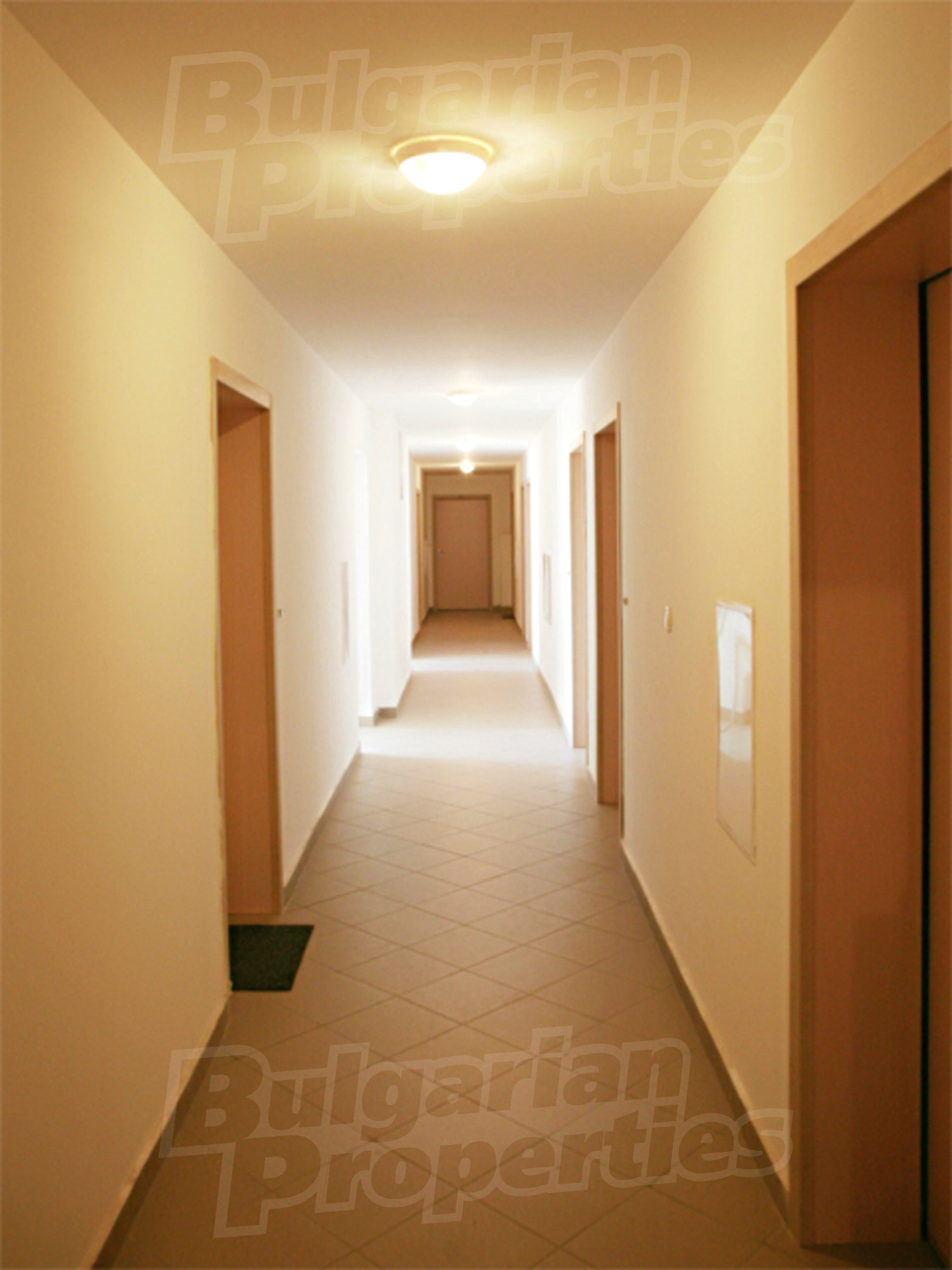 Gallery Picture 10