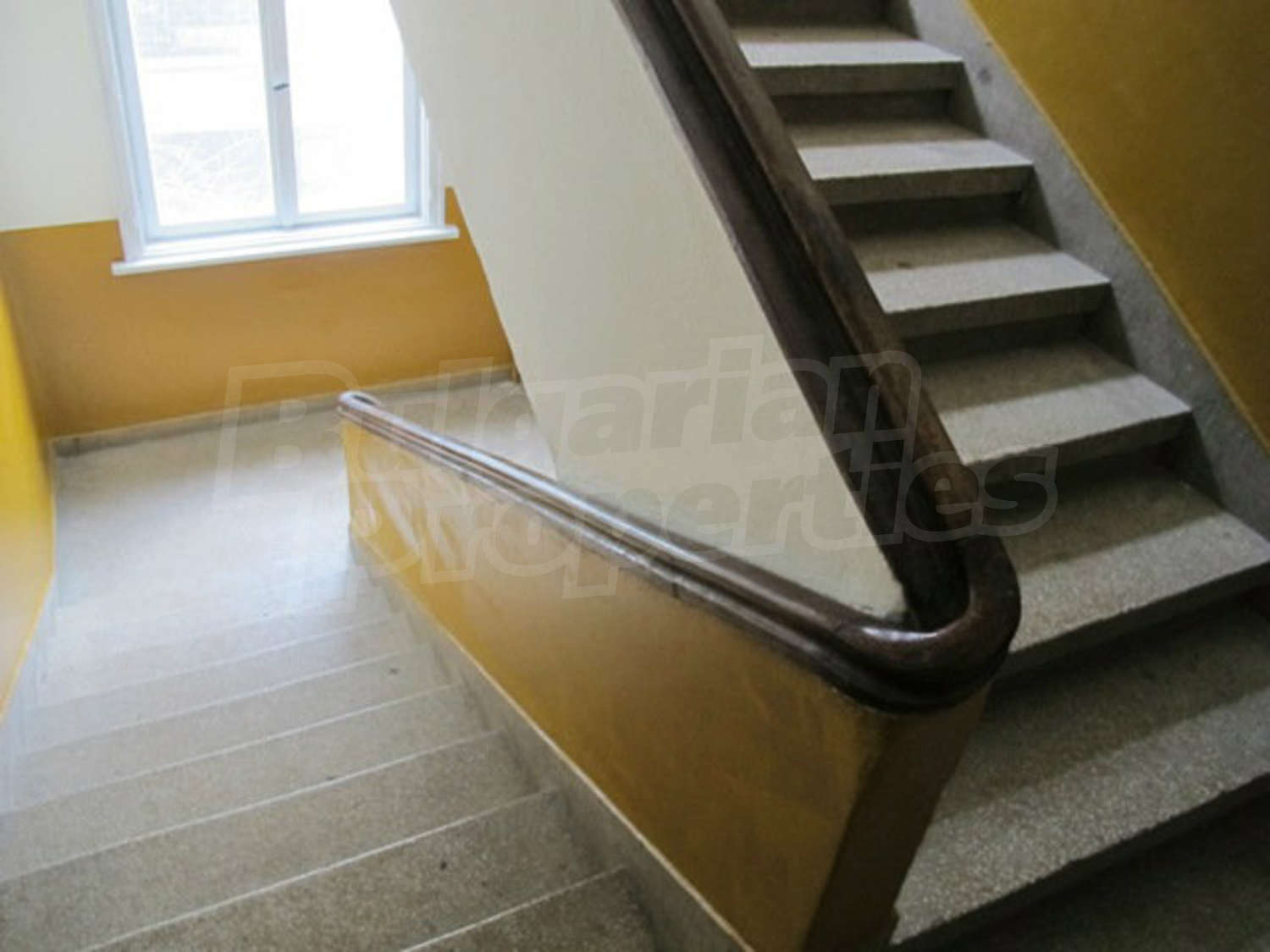 Gallery Picture 5