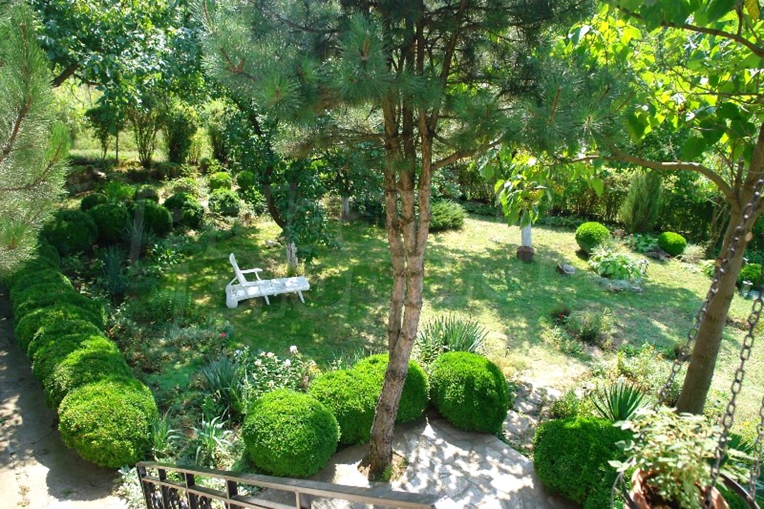 Gallery Picture 11