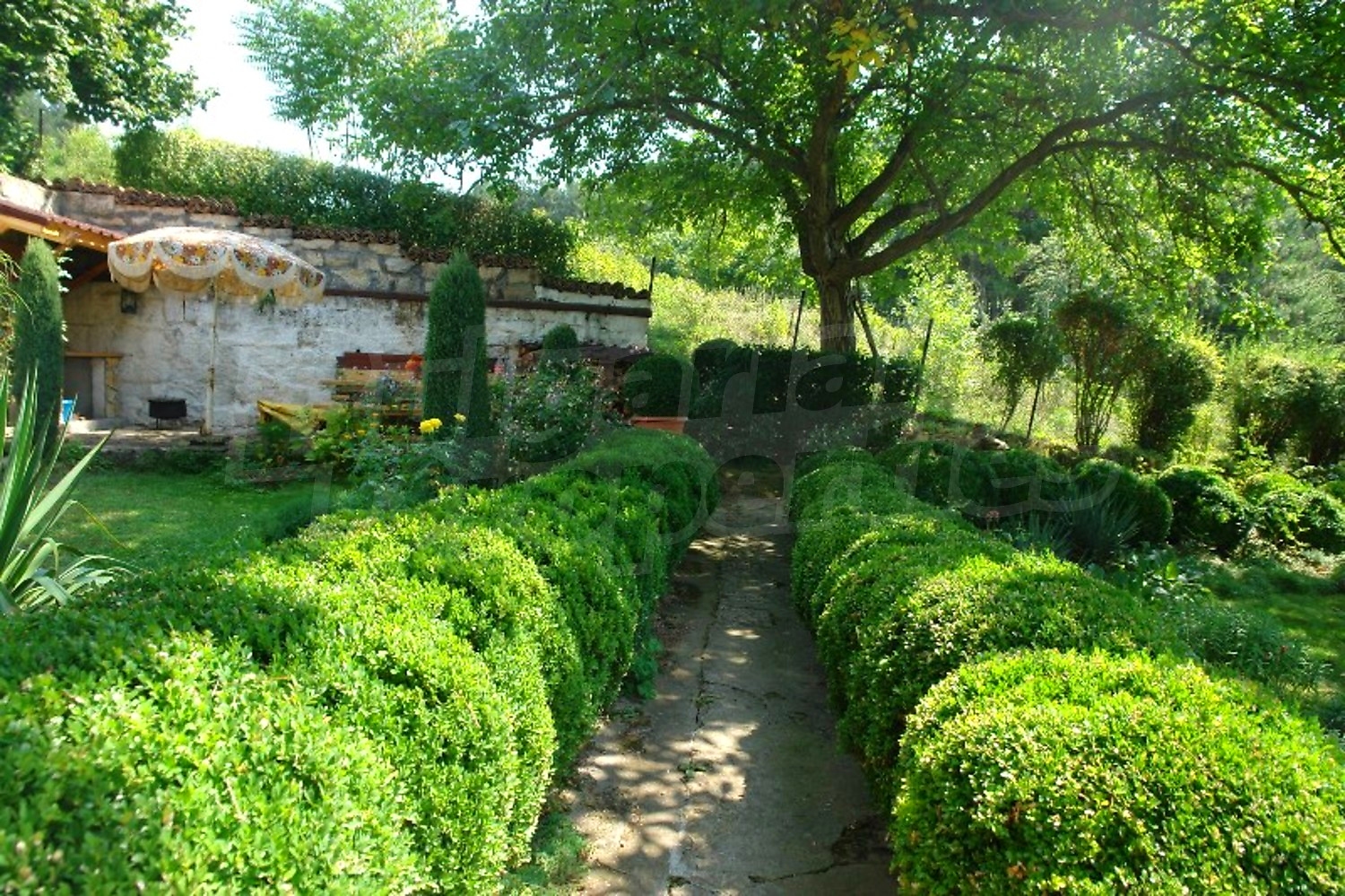 Gallery Picture 12