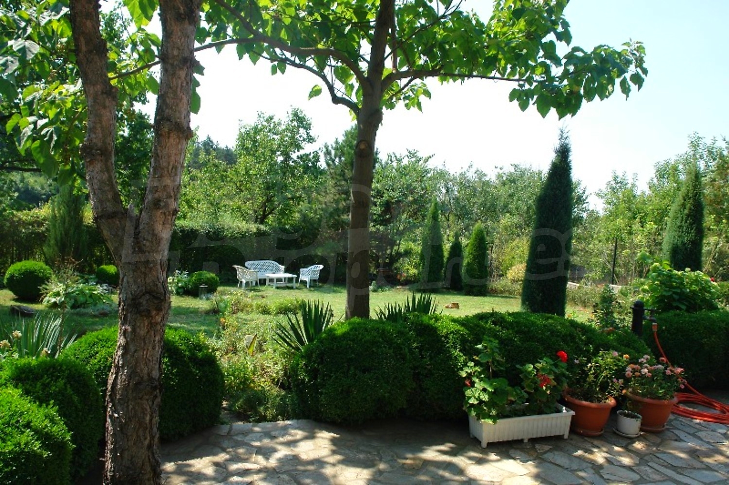Gallery Picture 13