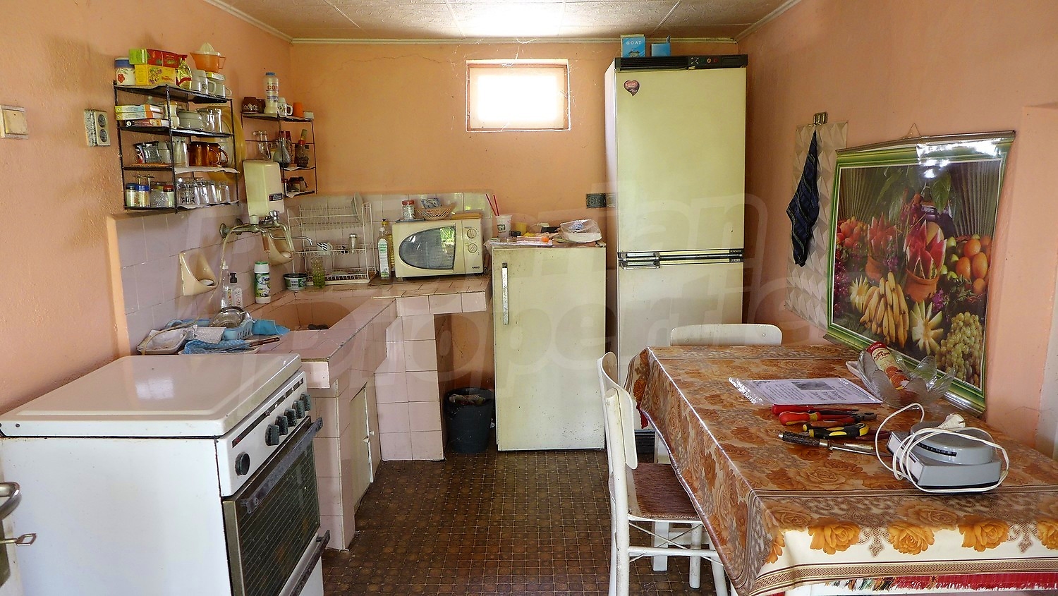 Gallery Picture 17