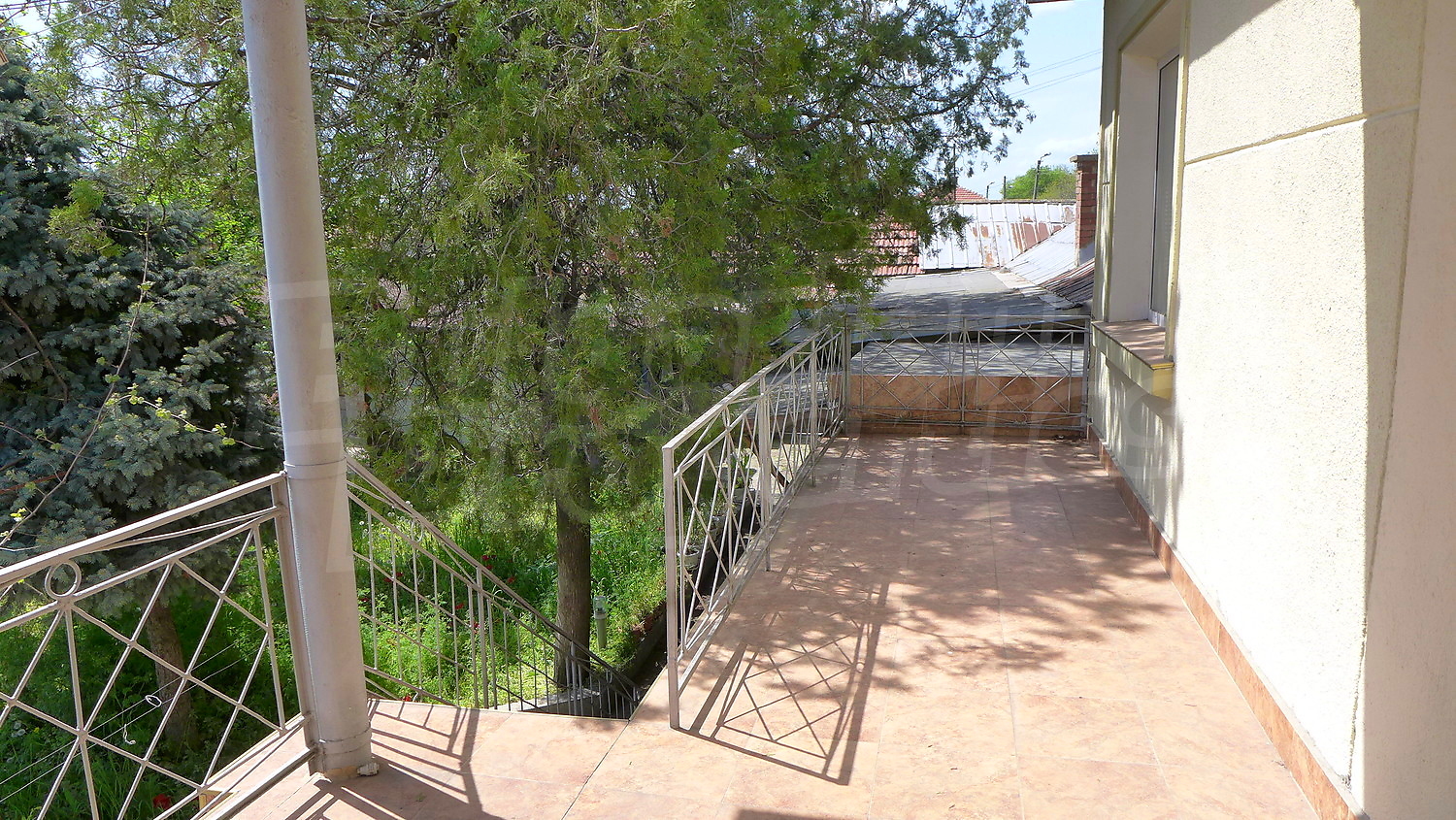 Gallery Picture 23