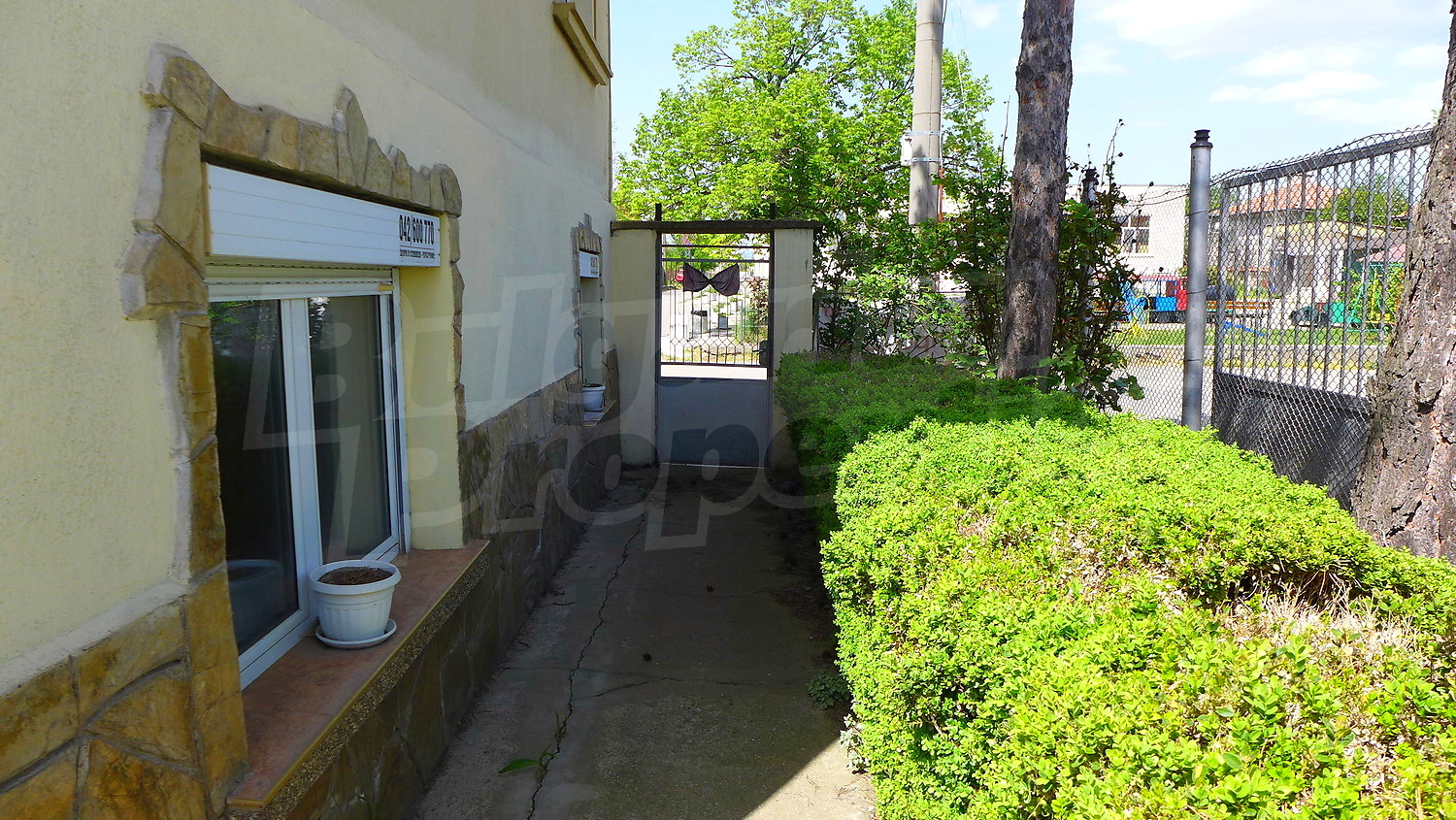 Gallery Picture 51