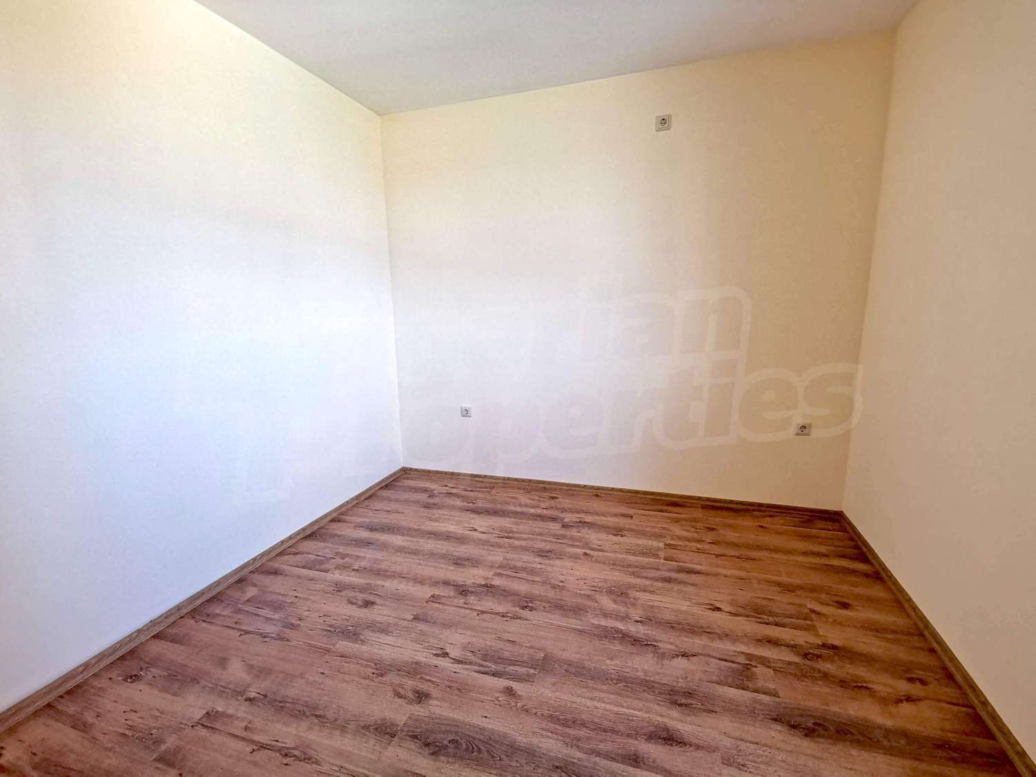 Gallery Picture 10