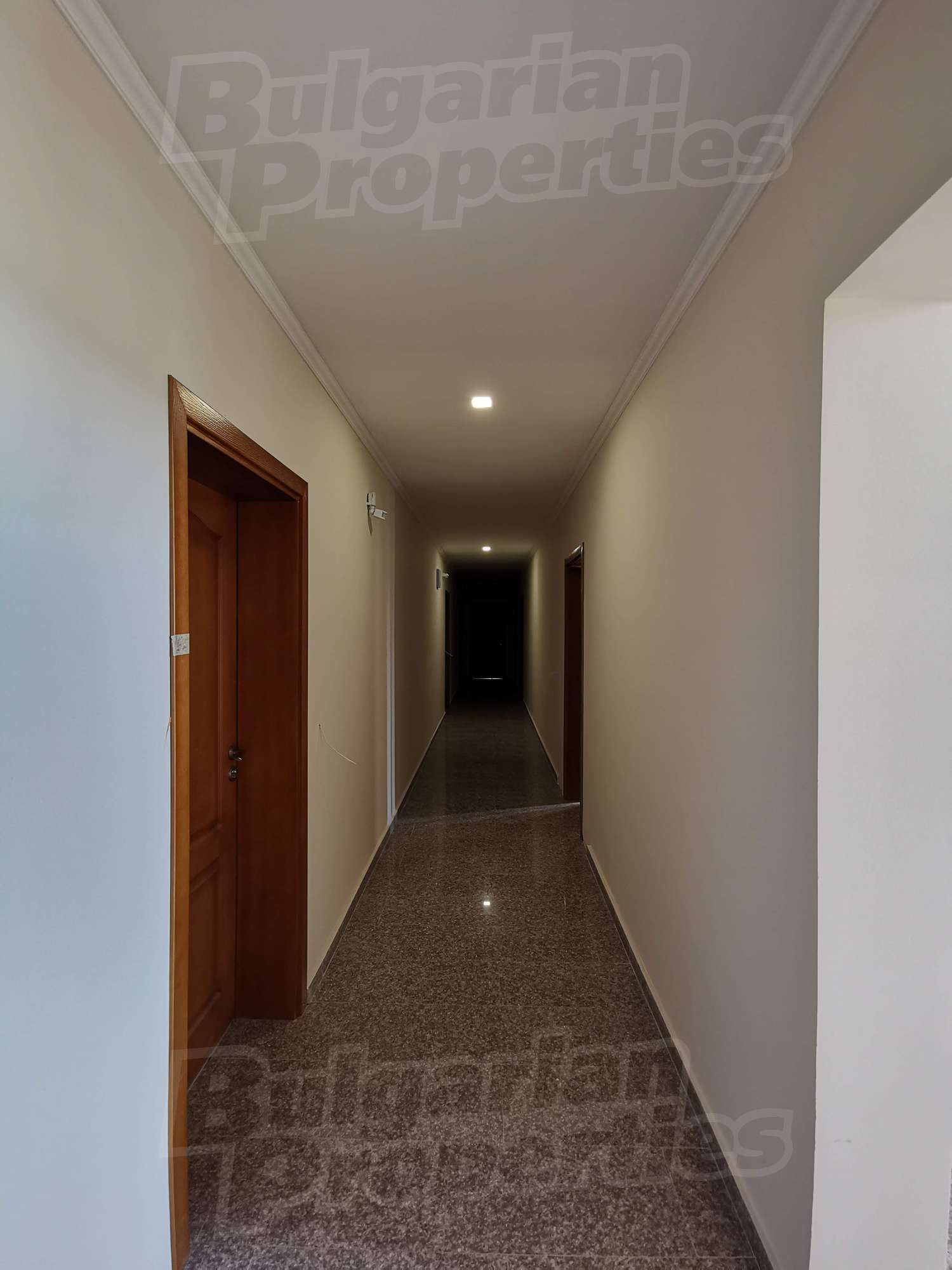 Gallery Picture 14