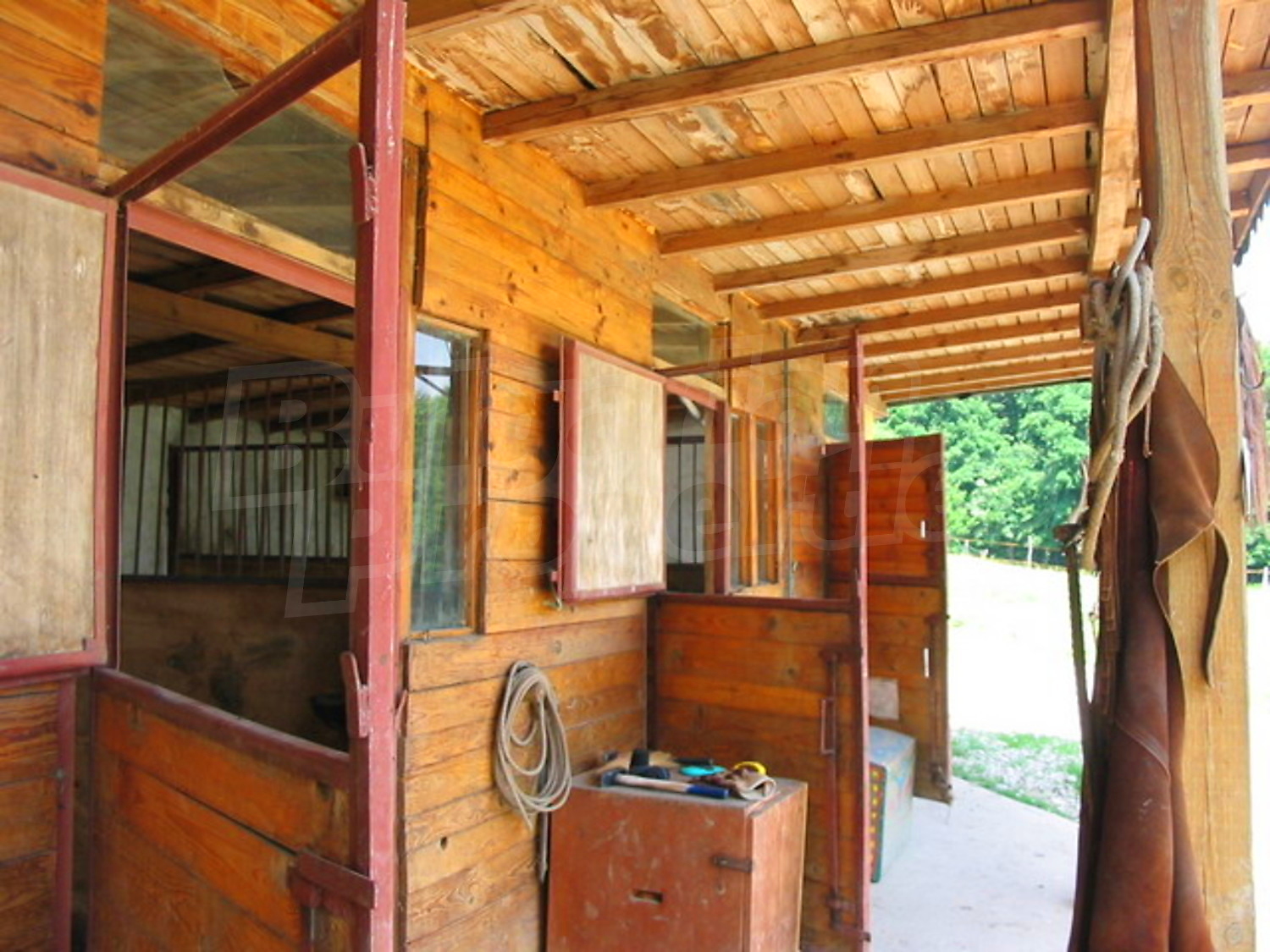 Gallery Picture 11