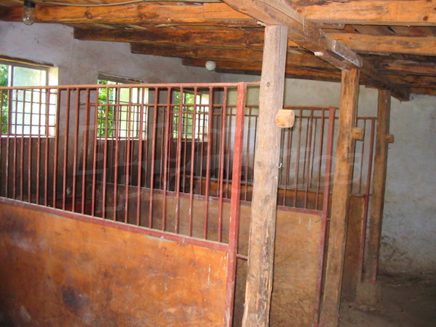 Gallery Picture 12