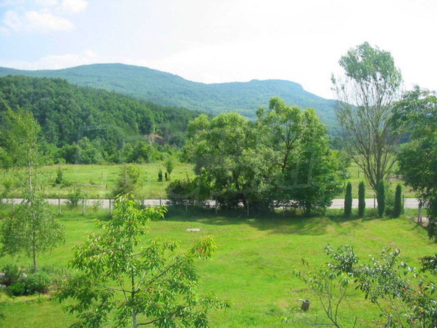 Gallery Picture 14