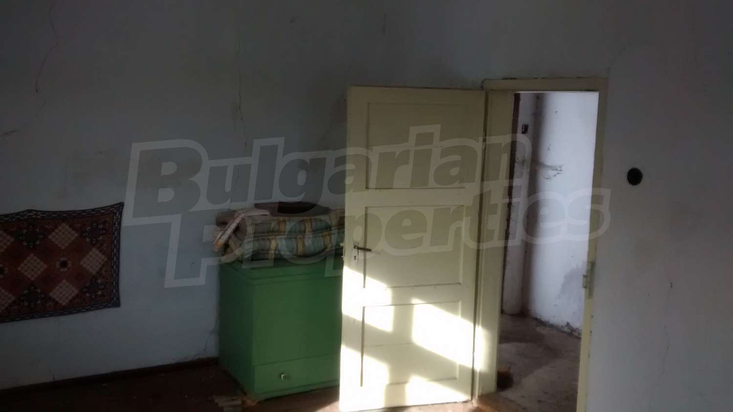 Gallery Picture 12
