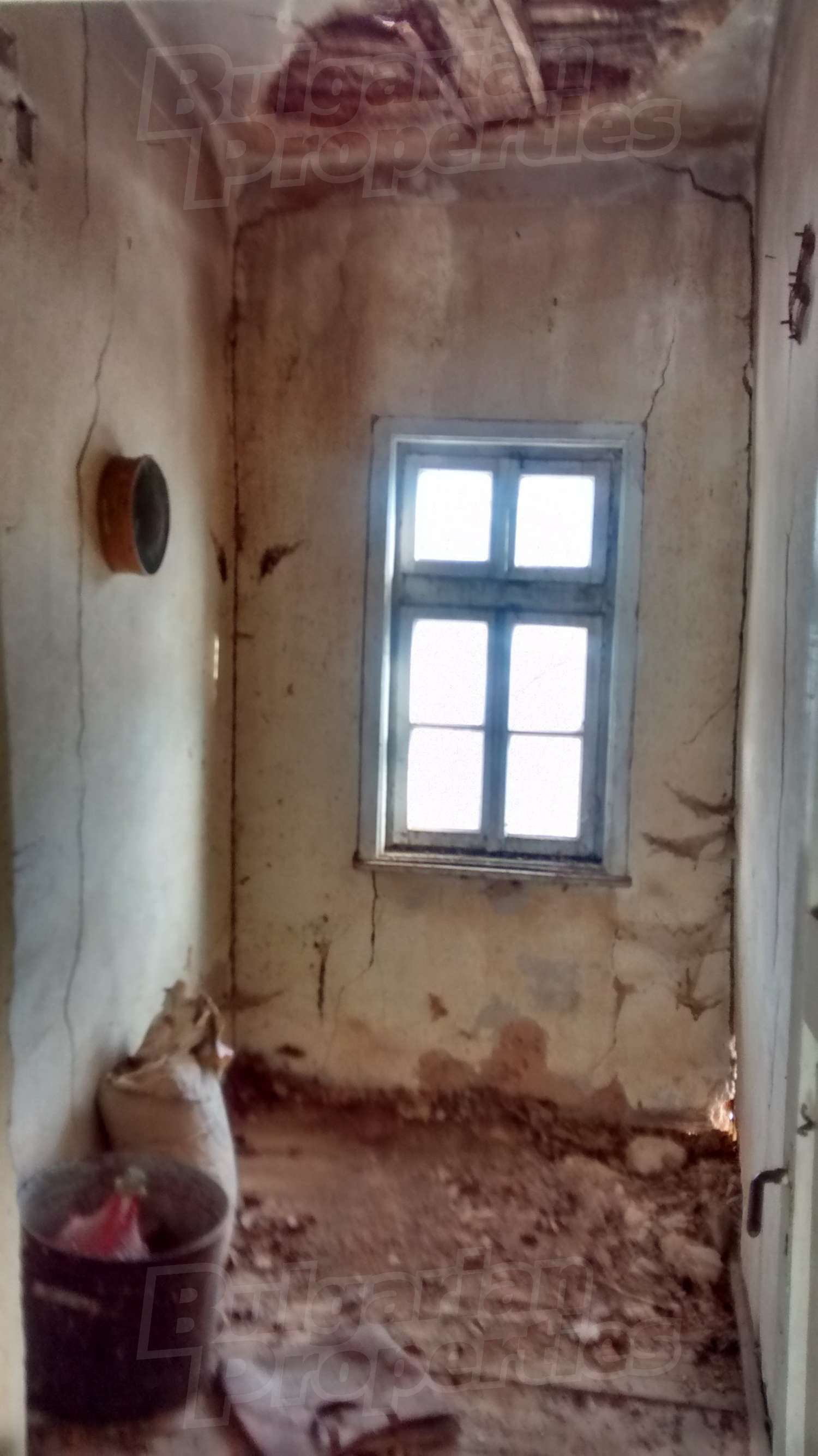 Gallery Picture 17