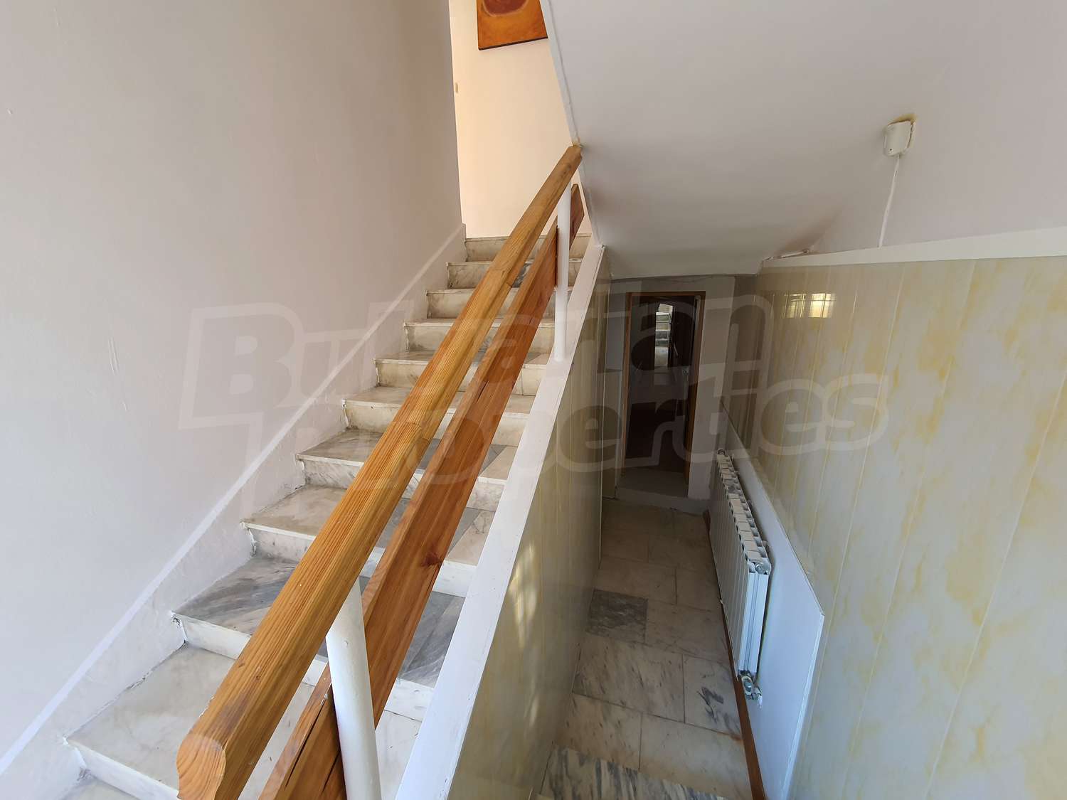 Gallery Picture 37