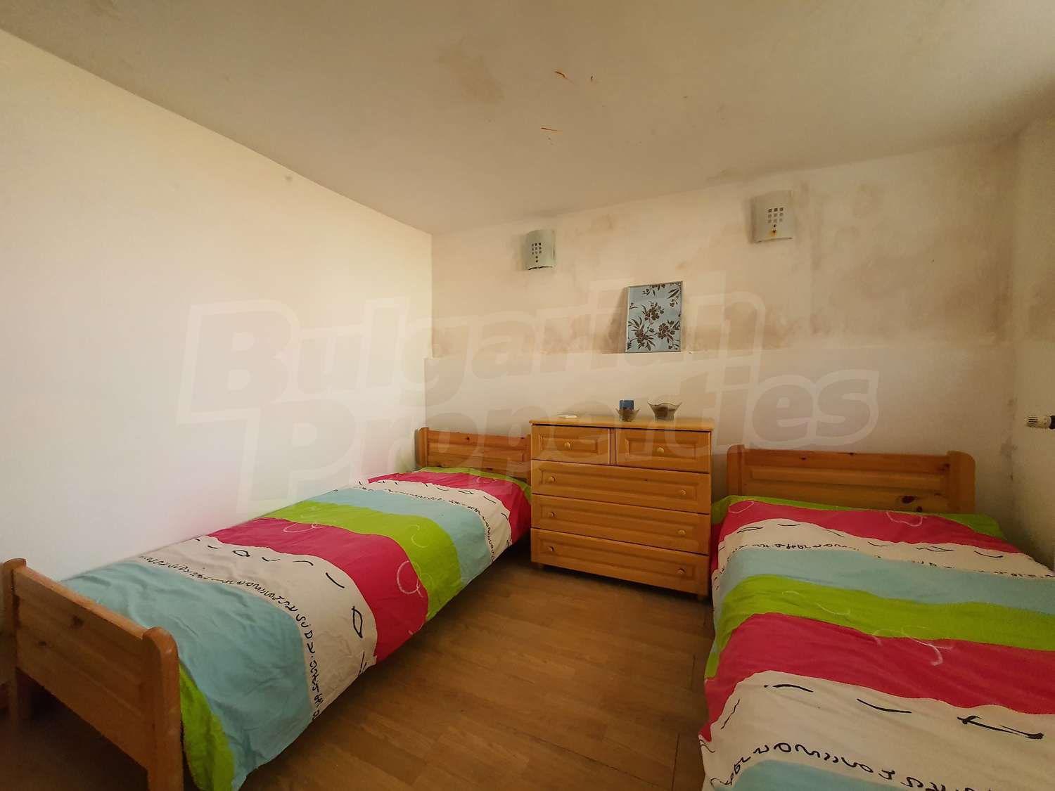 Gallery Picture 43