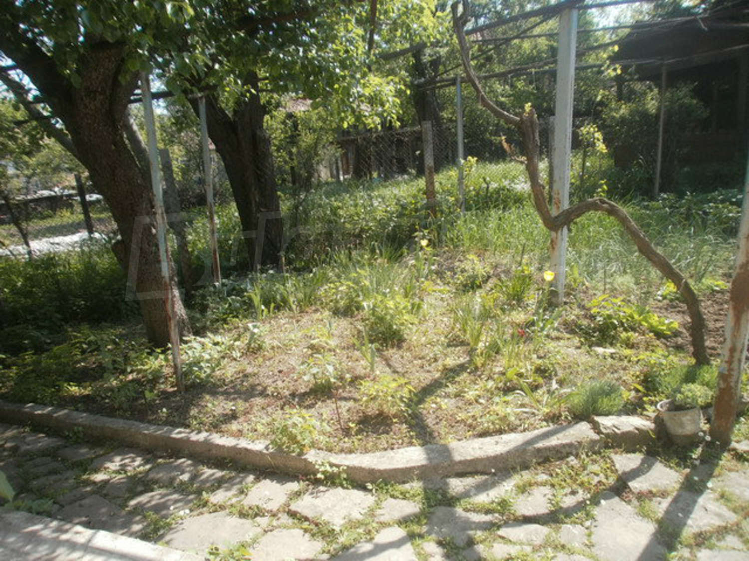 Gallery Picture 17