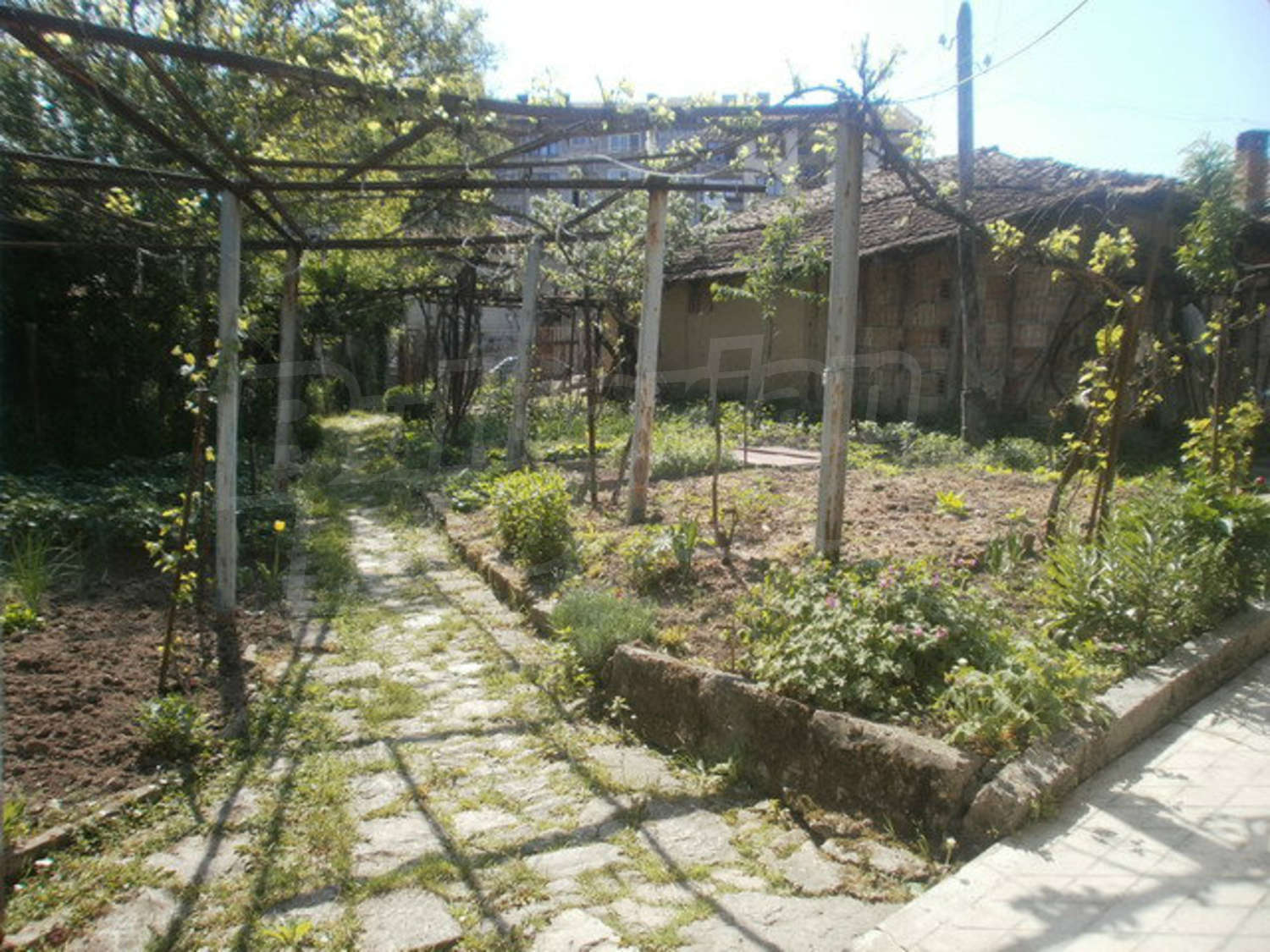 Gallery Picture 18