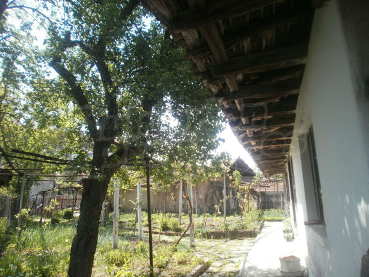 Gallery Picture 19