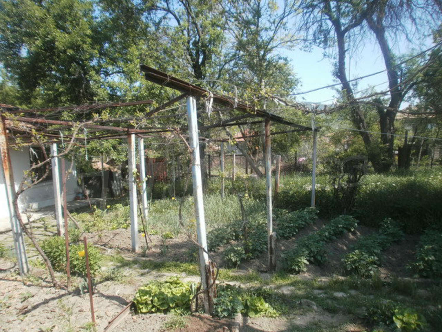 Gallery Picture 25