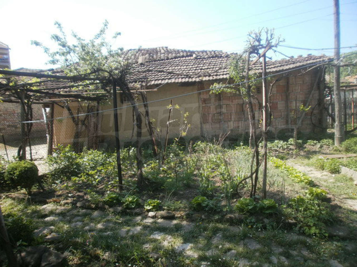 Gallery Picture 26