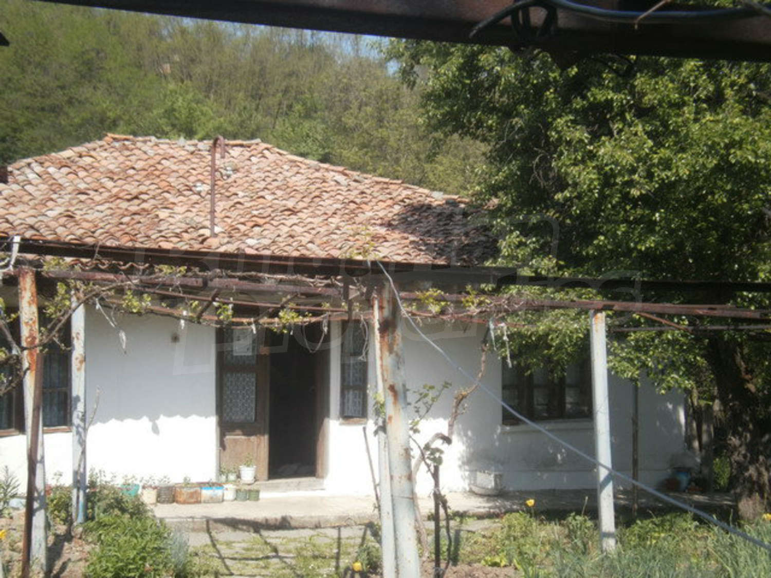 Gallery Picture 7