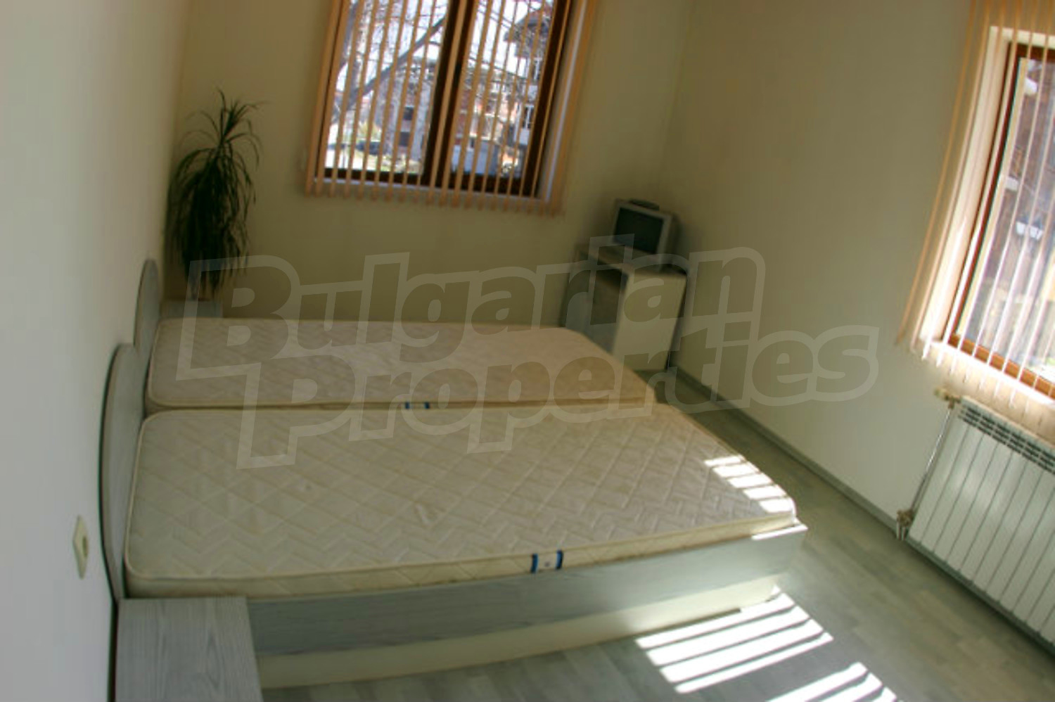 Gallery Picture 15