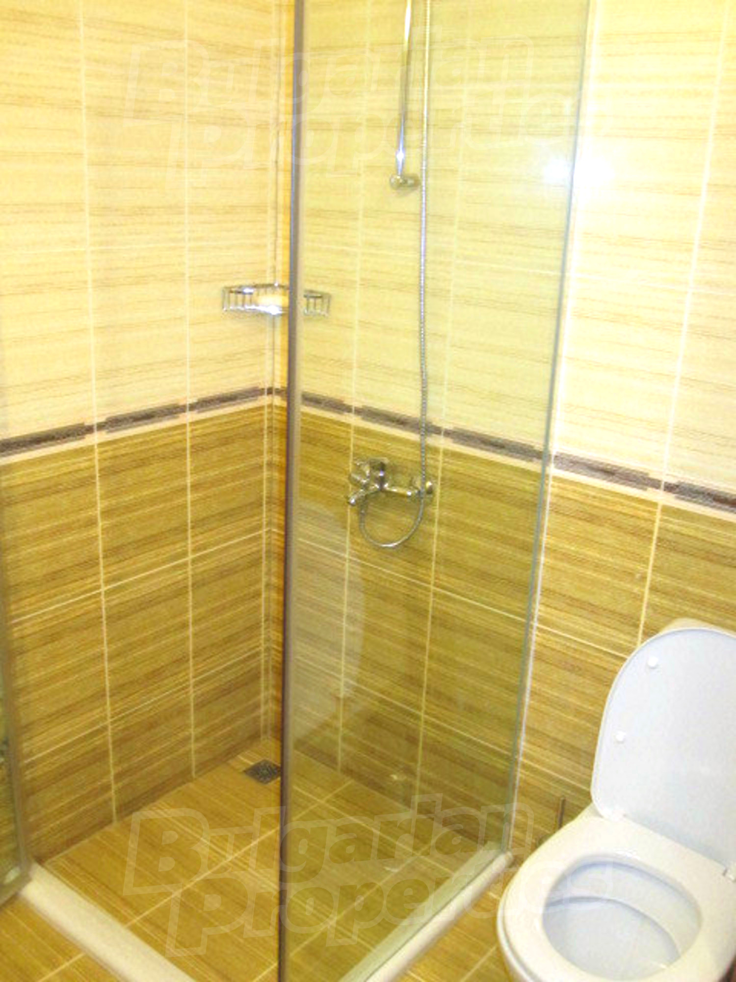 Gallery Picture 9