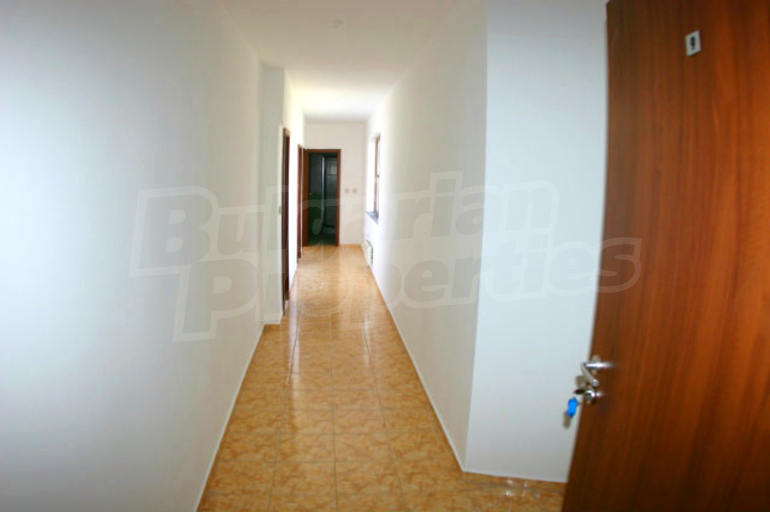 Gallery Picture 16