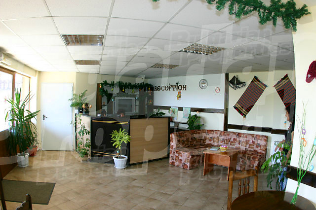 Gallery Picture 4