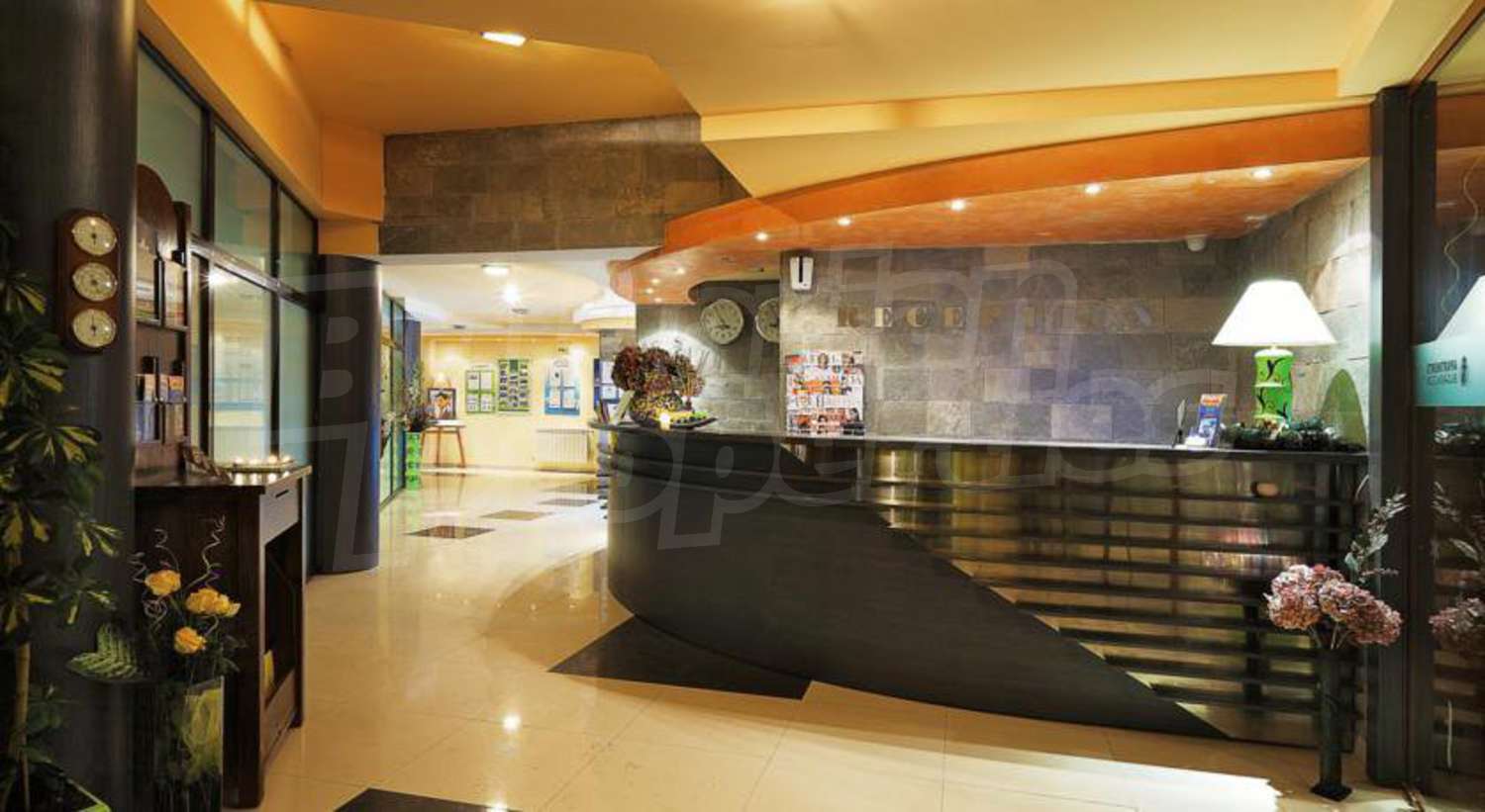 Gallery Picture 17