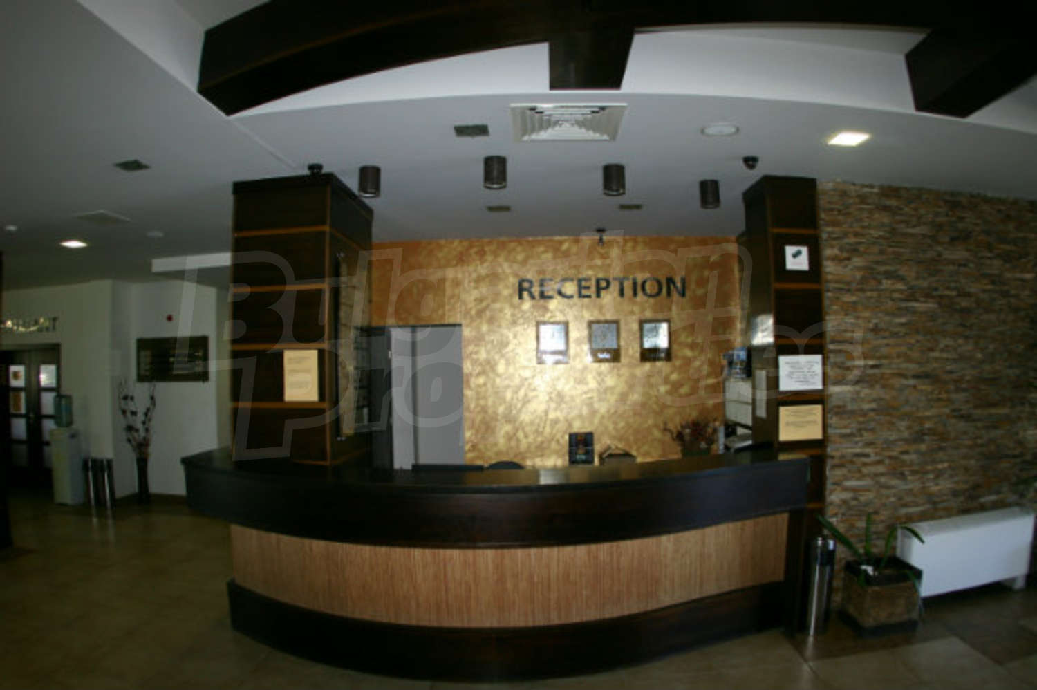 Gallery Picture 19