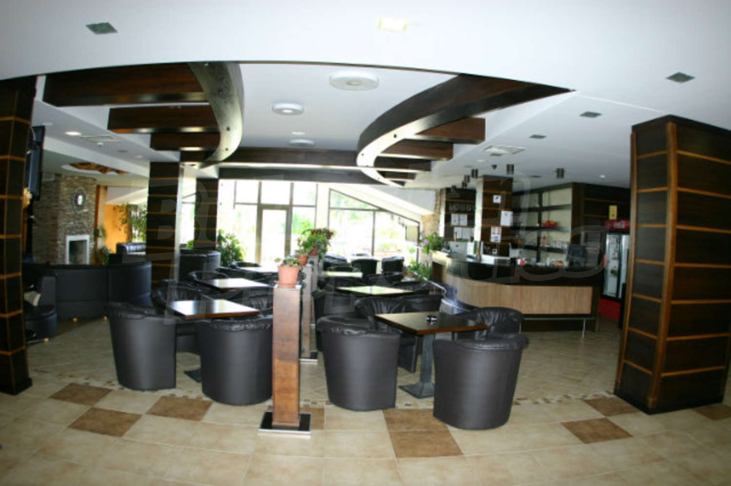 Gallery Picture 22