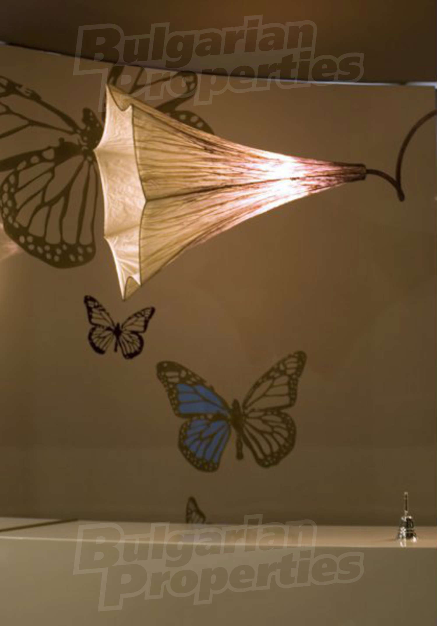 Gallery Picture 18