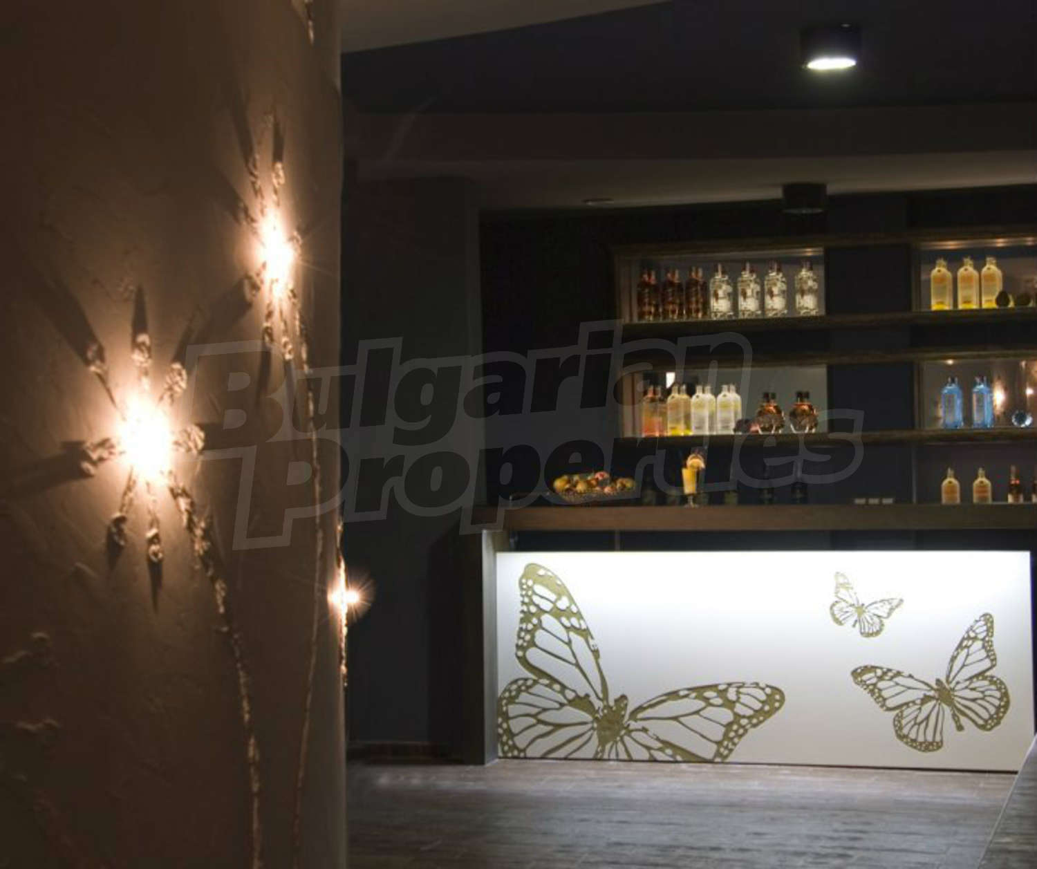 Gallery Picture 28