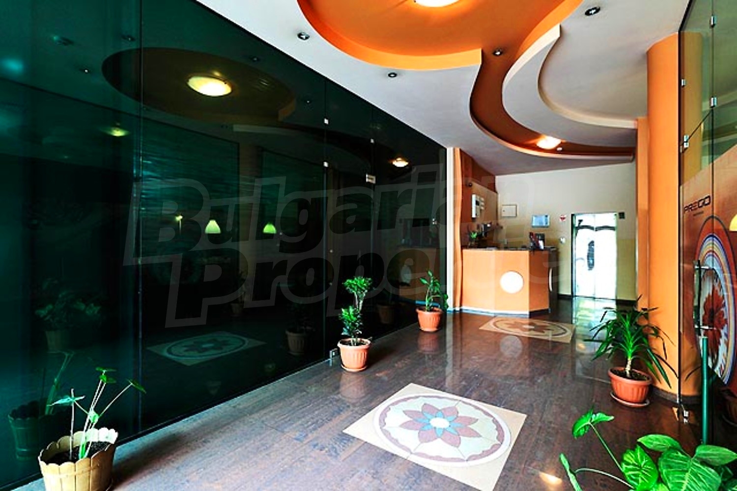 Gallery Picture 3