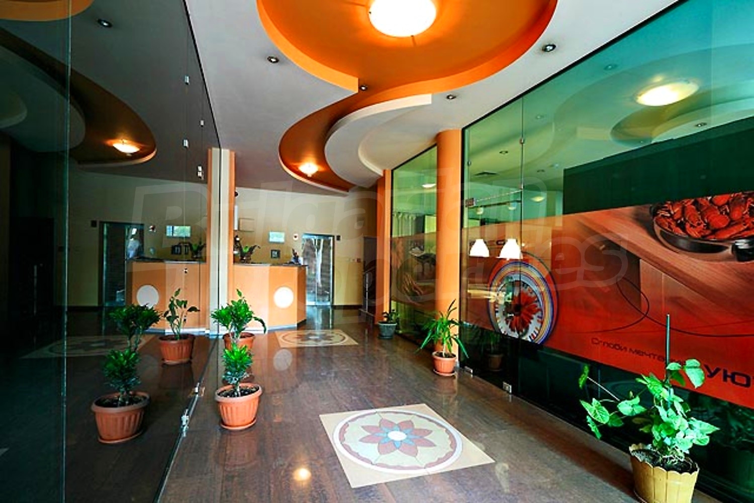 Gallery Picture 4