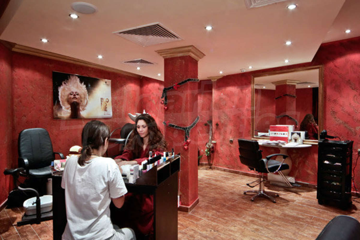 Gallery Picture 31