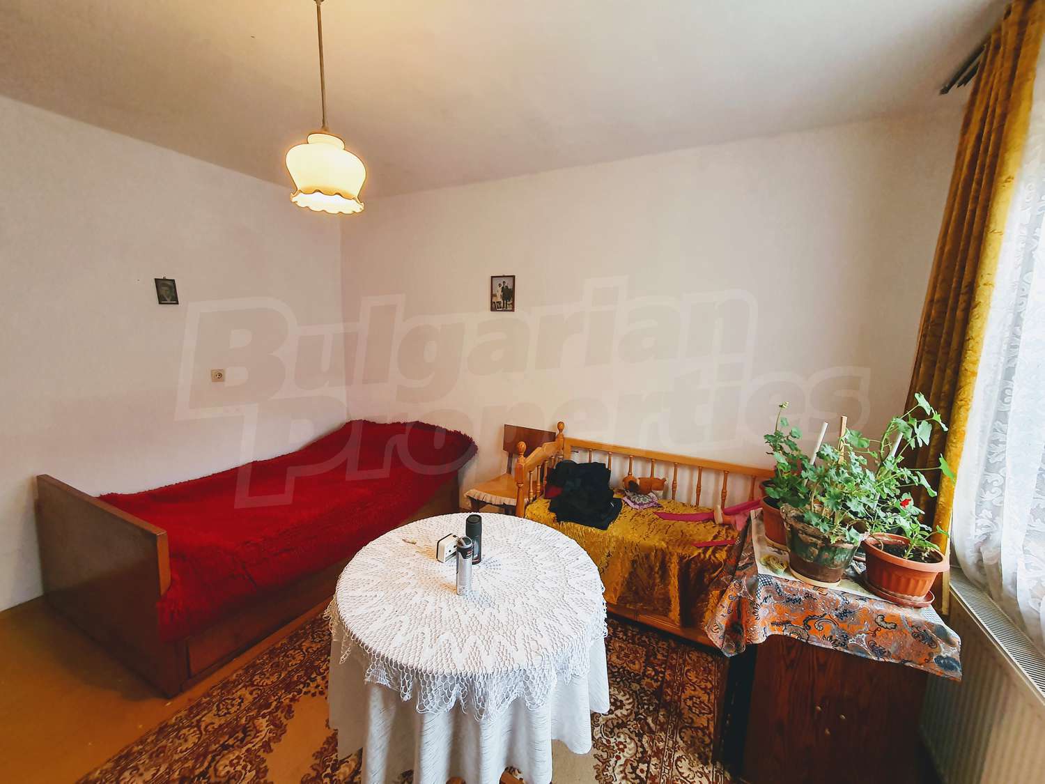 Gallery Picture 16