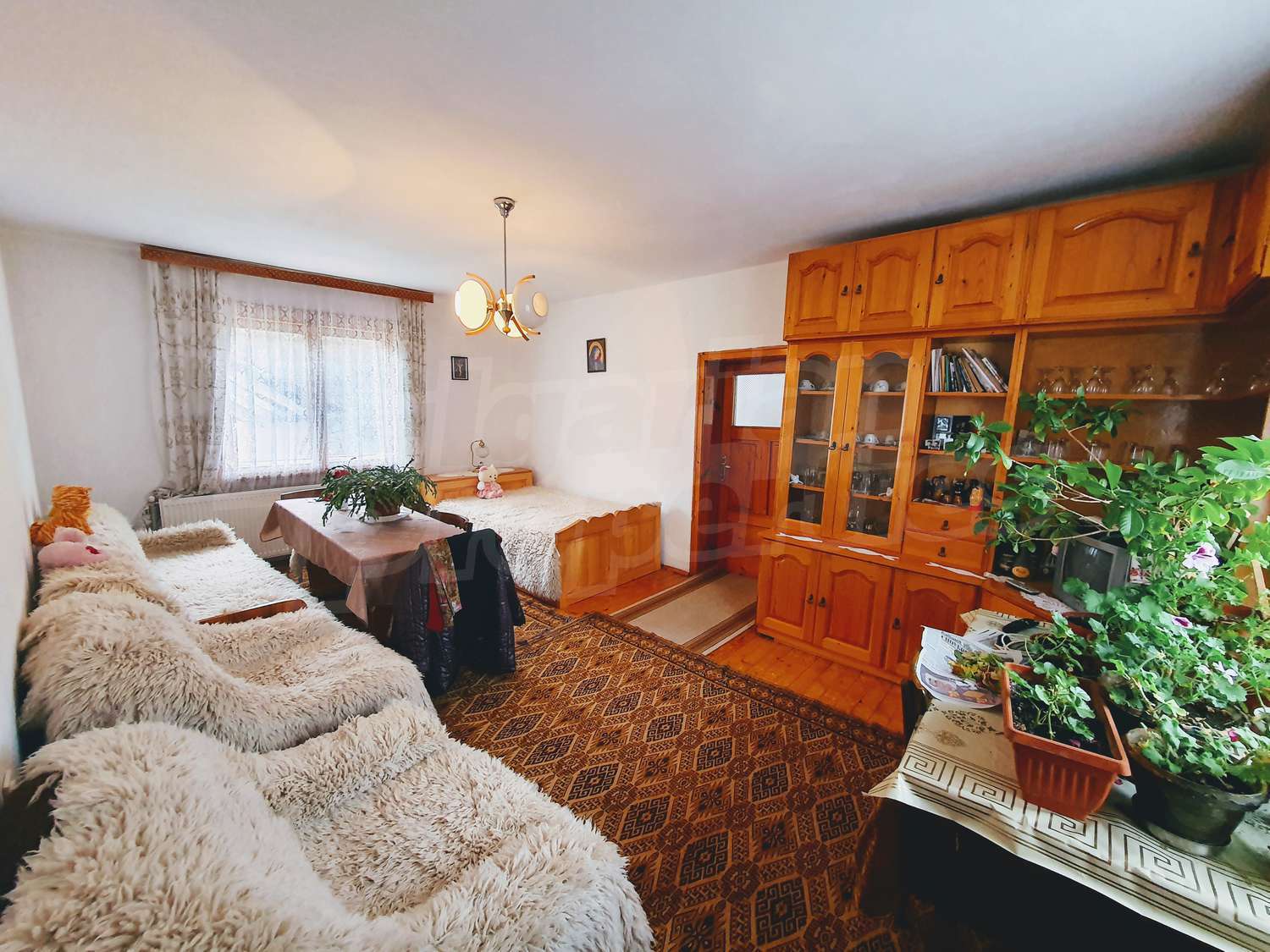 Gallery Picture 18
