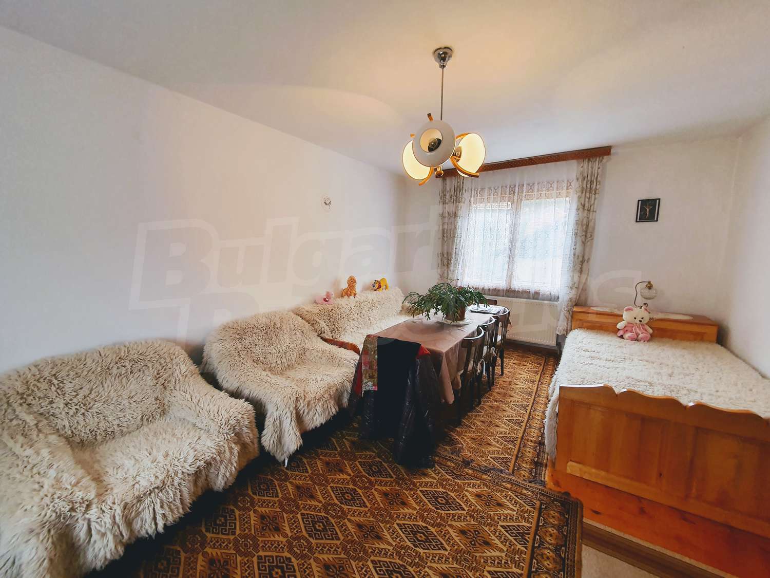 Gallery Picture 19