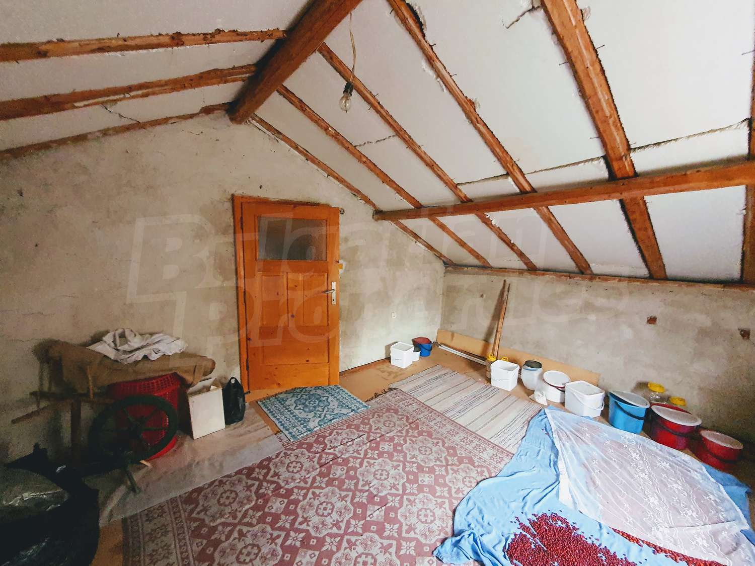 Gallery Picture 30