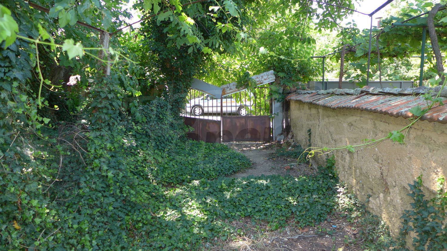 Gallery Picture 52