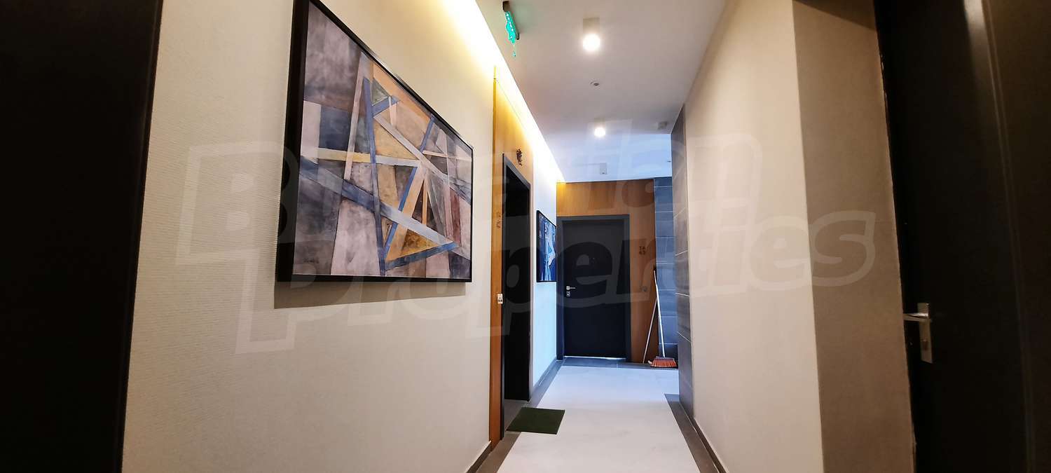 Gallery Picture 27