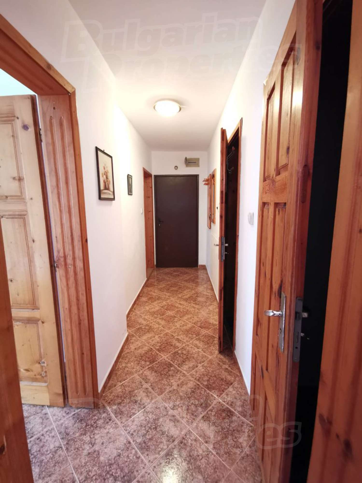 Gallery Picture 6