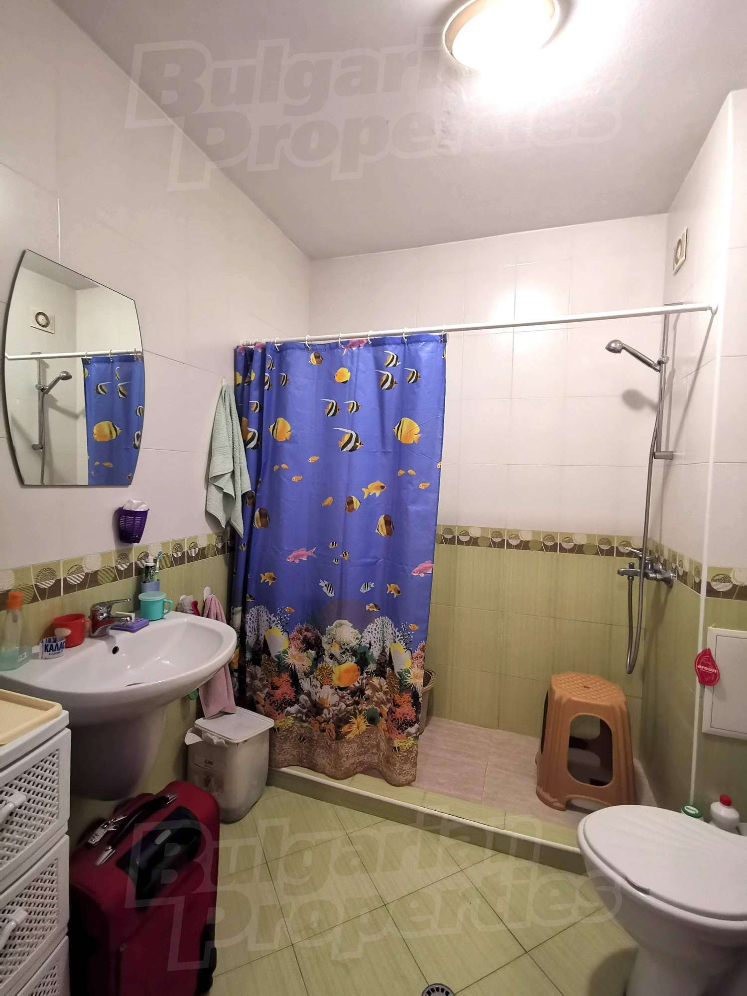 Gallery Picture 19