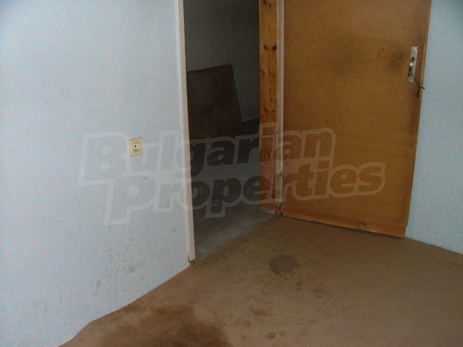 Gallery Picture 11