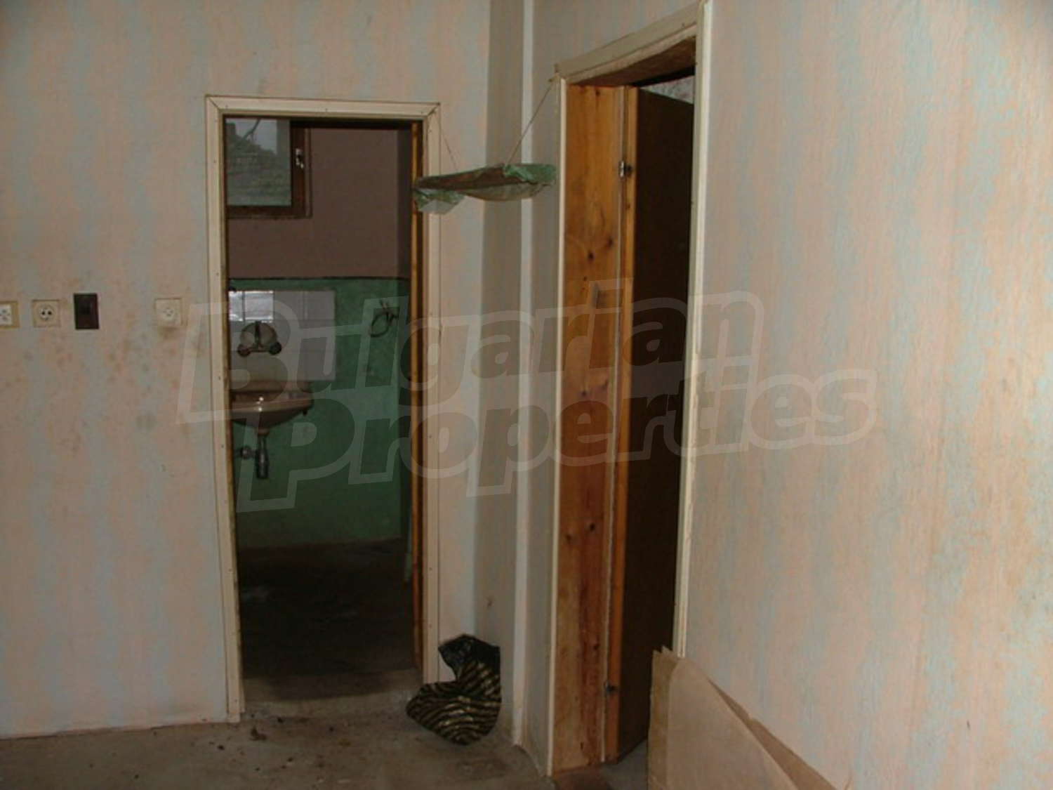 Gallery Picture 15